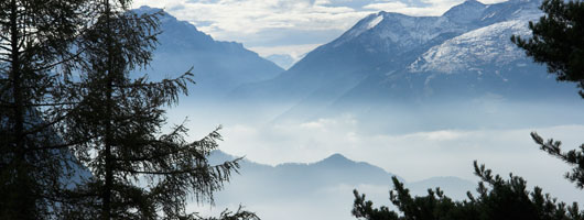 平台在线ddos压力测试