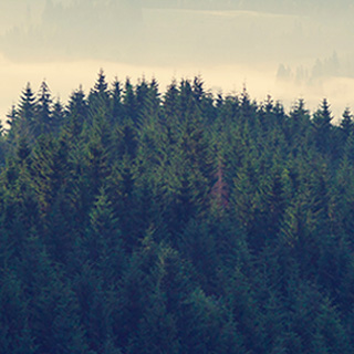 ddos攻击在哪能买到