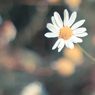 安全可靠且经过严格测试的免费cc攻击测试