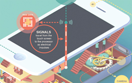 网站攻击软件工具